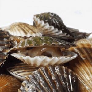 상품 섬네일 상품 섬네일