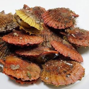 상품 섬네일 상품 섬네일